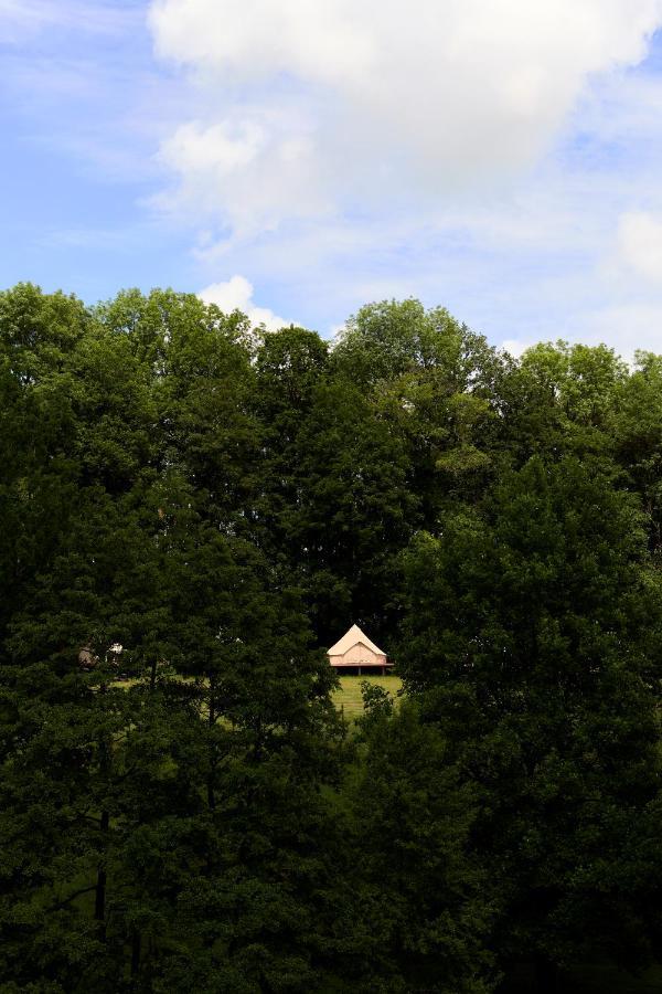 Chateau De La Chapelle Anthisnes Exteriör bild